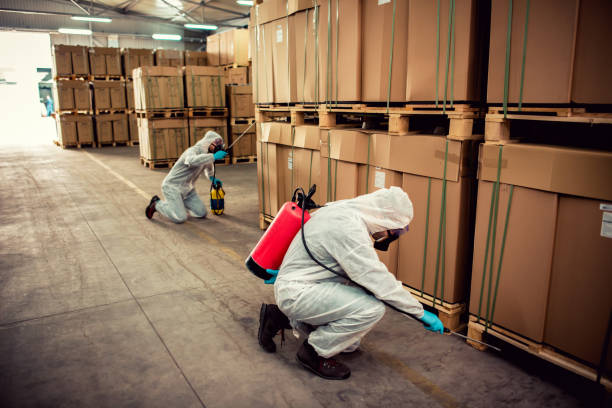 Best Local Pest Control Services  in St Cloud, MN
