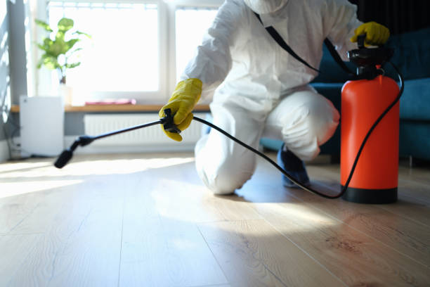 Professional Pest Control in St Cloud, MN