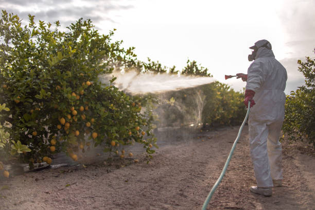 Best Pest Control Near Me  in St Cloud, MN