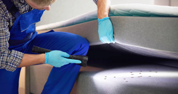 Best Flea Control Services  in St Cloud, MN
