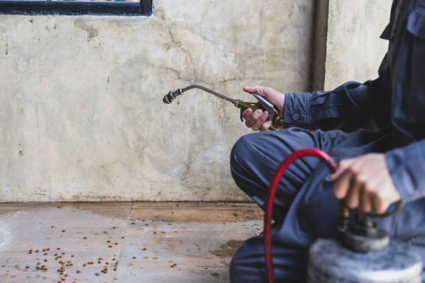 Best Pest Prevention Services  in St Cloud, MN