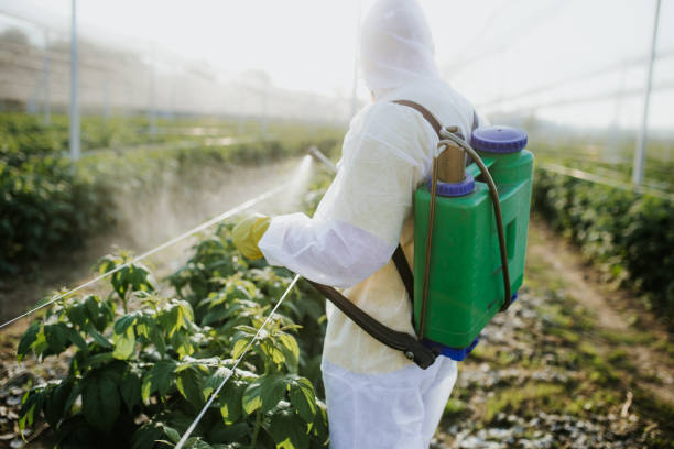 Pest Control for Restaurants in St Cloud, MN